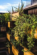 voco the Tuxon by IHG