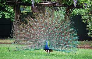 Holiday Inn St. Augustine - World Golf by IHG