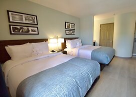 Wingate by Wyndham Salisbury