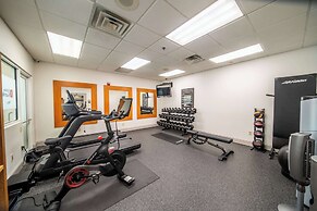 Hilton Garden Inn Rochester Downtown, MN