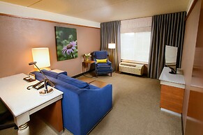 Hilton Garden Inn Rochester Downtown, MN