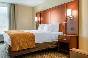 Comfort Inn & Suites Biloxi - D'Iberville