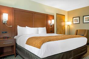 Comfort Inn & Suites Biloxi - D'Iberville