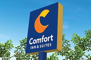 Comfort Inn & Suites Greenville Near Convention Center