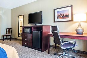 Comfort Inn Atlanta Downtown South