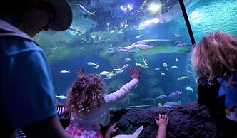 Holiday Inn Express Manchester - Salford Quays by IHG