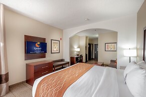 Comfort Inn & Suites Love Field - Dallas Market Center