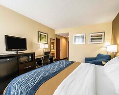 Comfort Inn & Suites Lantana - West Palm Beach South