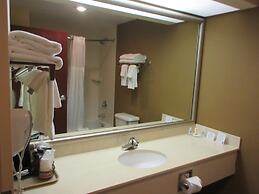 Comfort Inn & Suites Lantana - West Palm Beach South