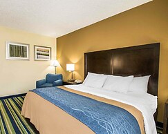 Comfort Inn & Suites Lantana - West Palm Beach South