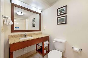 Comfort Suites Downtown