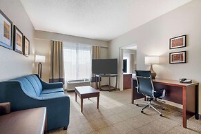 Comfort Suites Downtown