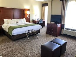 Comfort Suites Regency Park