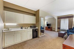 Comfort Suites Regency Park