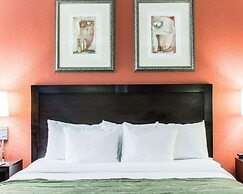 Comfort Suites Regency Park