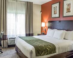 Comfort Suites Regency Park