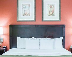 Comfort Suites Regency Park