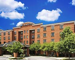 Comfort Suites Regency Park