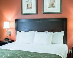 Comfort Suites Regency Park