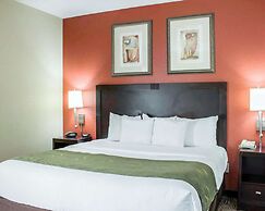 Comfort Suites Regency Park