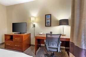 Comfort Suites Regency Park