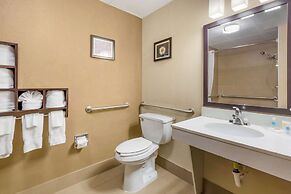 Comfort Suites Regency Park