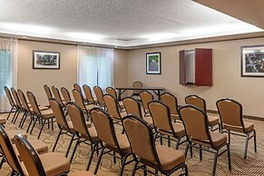 Comfort Suites Regency Park