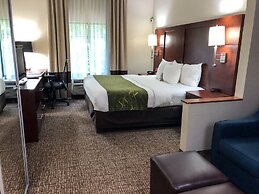 Comfort Suites Regency Park
