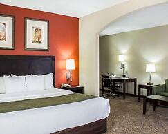 Comfort Suites Regency Park