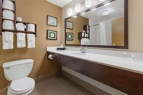 Comfort Suites Regency Park