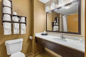 Comfort Suites Regency Park