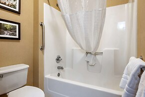 Comfort Inn Meadowlands