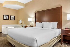 Comfort Inn Meadowlands
