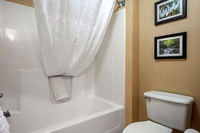 Comfort Inn Meadowlands