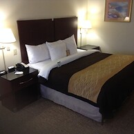 Comfort Inn & Suites Ft. Jackson Maingate