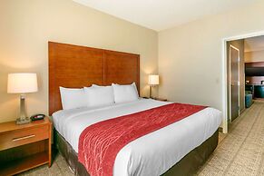 Comfort Inn & Suites Nashville Franklin Cool Springs