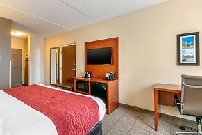 Comfort Inn & Suites Nashville Franklin Cool Springs