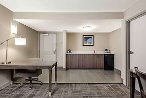 Hampton Inn & Suites Chapel Hill/Durham, Area