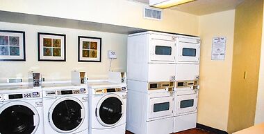 Siegel Select Montgomery