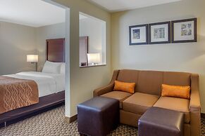 Comfort Inn & Suites SW Houston Sugarland