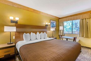 Best Western Rivers Edge