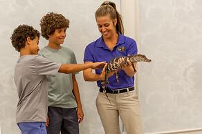 The Ritz-Carlton Dallas, Las Colinas