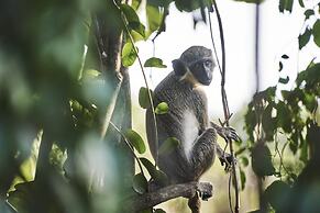 Four Seasons Resort - Nevis