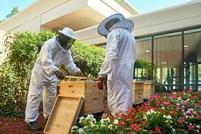Atlanta Airport Marriott