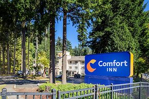 Comfort Inn Lacey - Olympia