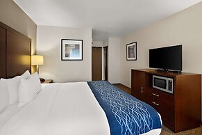 Comfort Inn Lacey - Olympia