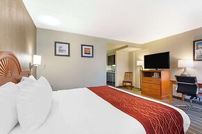Comfort Inn University Center