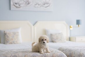 First Euroflat Hotel