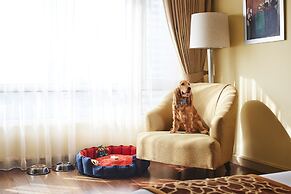 President, Mumbai - IHCL SeleQtions