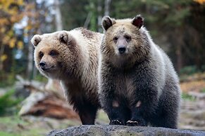 Fairmont Olympic Hotel